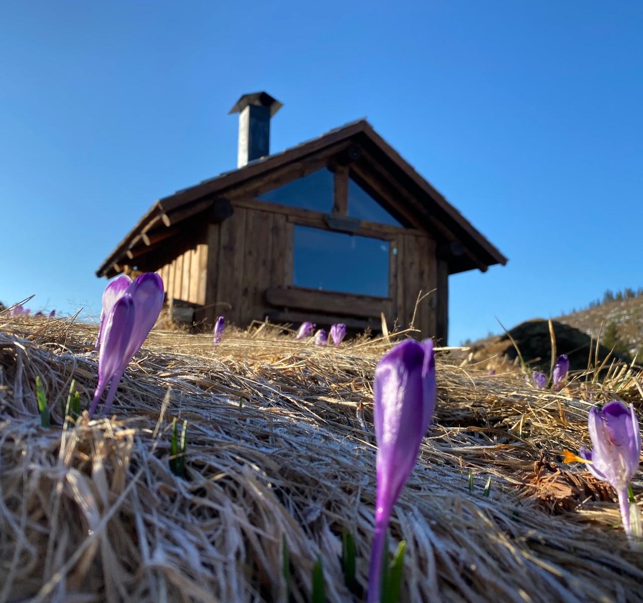 Útulňa Barborka — Unguarded shelter